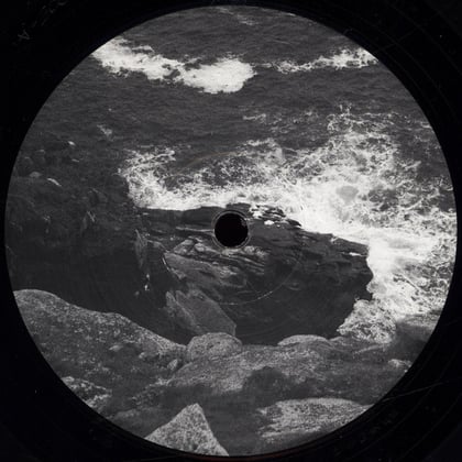 Taiga - EP album by Survey & Theory - Drum and Bass Cover Art