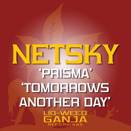 Prisma / Tomorrow's Another Day album by Netsky - Drum and Bass Cover Art