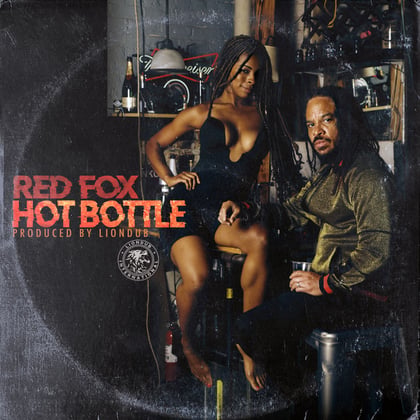 Hot Bottle album by Liondub - Drum and Bass Cover Art