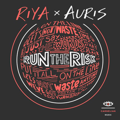 Run the Risk album by Riya - Drum and Bass Cover Art