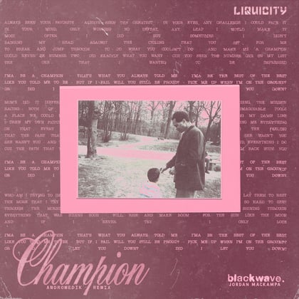 champion (Andromedik Remix) album by Andromedik - Drum and Bass Cover Art