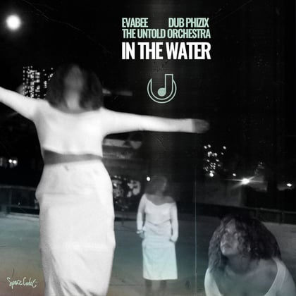 In The Water album by EVABEE, Dub Phizix & The Untold Orchestra - Drum and Bass Cover Art