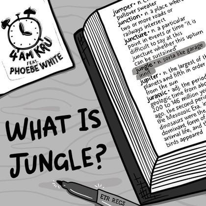What Is Jungle album by 4am Kru - Drum and Bass Cover Art