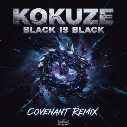Black is black (Remix) album by KOKUZE - Drum and Bass Cover Art