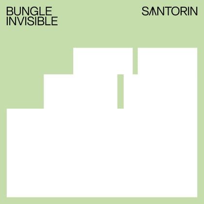 Invisible album by Bungle - Drum and Bass Cover Art