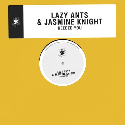 Needed You album by Jasmine Knight - Drum and Bass Cover Art