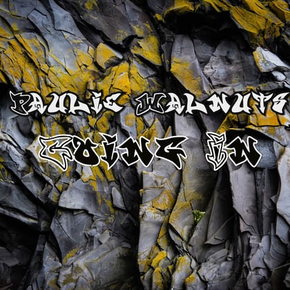 Going In album by Paulie Walnuts - Drum and Bass Cover Art