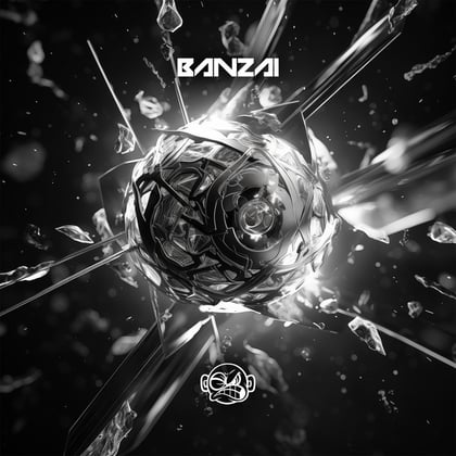 Calling album by Banzai - Drum and Bass Cover Art