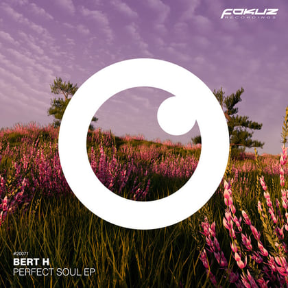 Perfect Soul EP album by Bert H - Drum and Bass Cover Art
