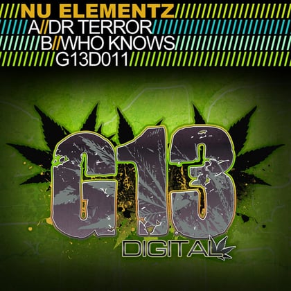 Dr Terror / Who Knows album by Nu Elementz - Drum and Bass Cover Art