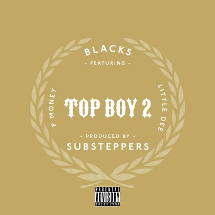 Top Boy 2 album by P Money, Blacks & Little Dee - Drum and Bass Cover Art