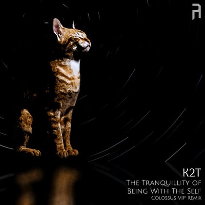 The Tranquillity of Being With The Self (Colossus VIP Remix) album by Colossus - Drum and Bass Cover Art