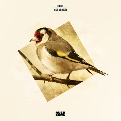 Goldfinch album by BOP & Chime - Drum and Bass Cover Art