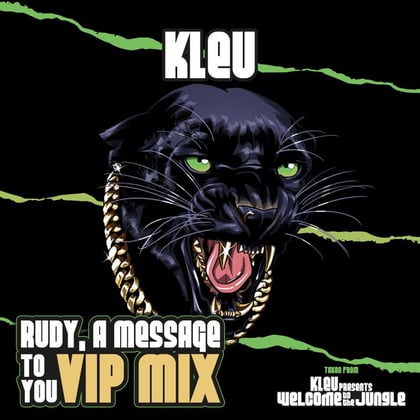 Rudy, A Message To You (VIP Mix) album by Kleu - Drum and Bass Cover Art