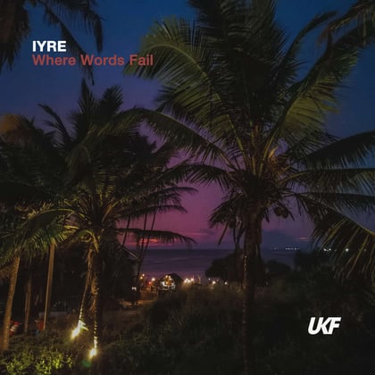 Where Words Fail album by IYRE - Drum and Bass Cover Art