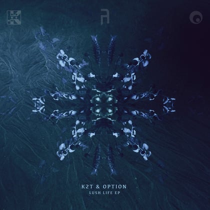 Lush Life album by K2T & Option - Drum and Bass Cover Art