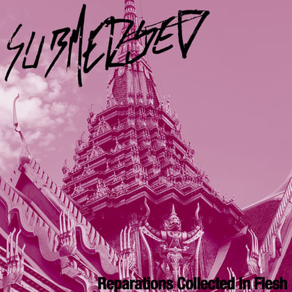 Reparations Collected In Flesh album by Submerged & VLTRN - Drum and Bass Cover Art