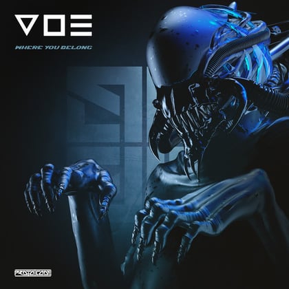 Where You Belong album by V O E - Drum and Bass Cover Art