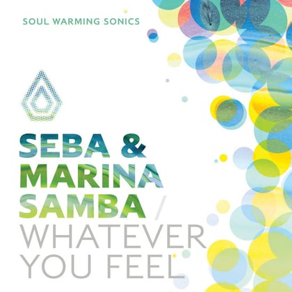 Whatever You Feel album by Seba - Drum and Bass Cover Art