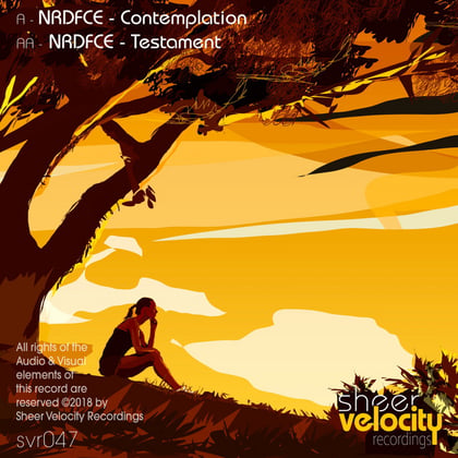 Contemplation / Testament album by NRDFCE - Drum and Bass Cover Art