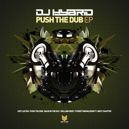 Push The Dub album by Dub Elements & DJ Hybrid - Drum and Bass Cover Art