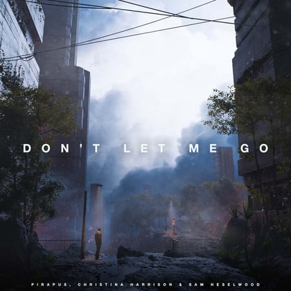 Don't Let Me Go album by Pirapus - Drum and Bass Cover Art