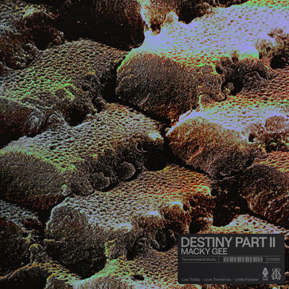 Destiny Part II album by Macky Gee - Drum and Bass Cover Art