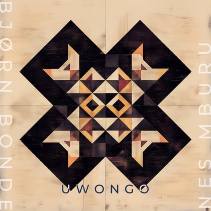 Uwongo album by Tengu & Bjørn Bonde - Drum and Bass Cover Art