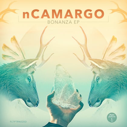 Bonanza EP album by nCamargo - Drum and Bass Cover Art