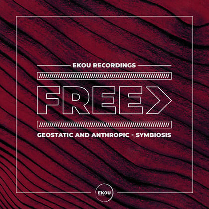 Symbiosis (Original Mix) album by Geostatic - Drum and Bass Cover Art