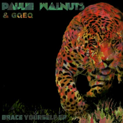 Brace Yourself album by Paulie Walnuts - Drum and Bass Cover Art