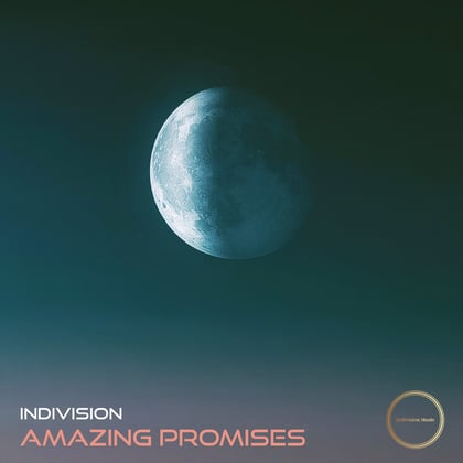 Amazing Promises album by Indivision - Drum and Bass Cover Art