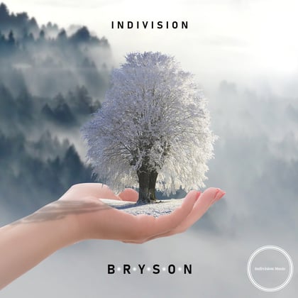 Bryson album by Indivision - Drum and Bass Cover Art