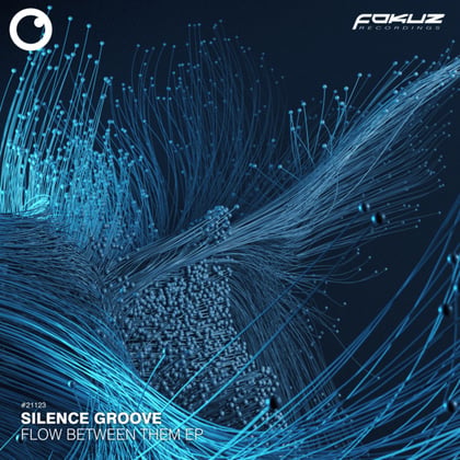 Flow Between Them EP album by Silence Groove - Drum and Bass Cover Art