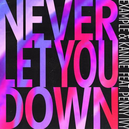 Never Let You Down (feat. Penny Ivy) album by Kanine - Drum and Bass Cover Art