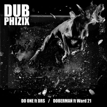 SENKA002 album by Dub Phizix - Drum and Bass Cover Art