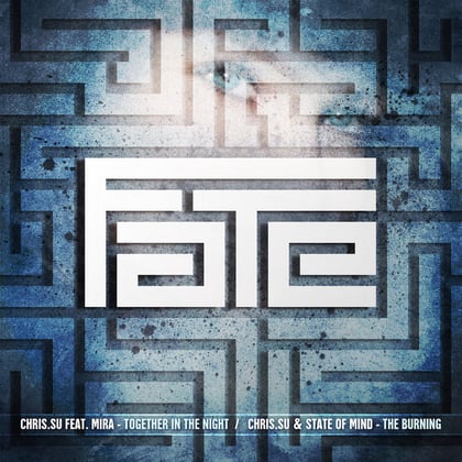 Together In The Night album by State of Mind, Chris.SU & Myra Monoka - Drum and Bass Cover Art