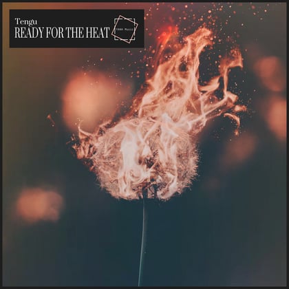 Ready For The Heat album by Tengu - Drum and Bass Cover Art