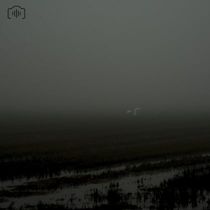 Emergency album by Subp Yao - Drum and Bass Cover Art