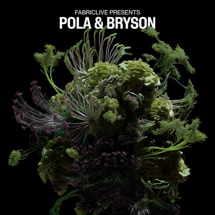 FABRICLIVE presents Pola & Bryson (DJ Mix) album by Pola & Bryson - Drum and Bass Cover Art