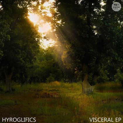 Visceral EP album by Hyroglifics - Drum and Bass Cover Art