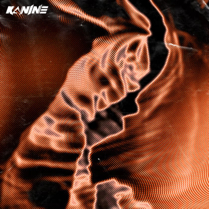 Get Down album by Kanine - Drum and Bass Cover Art