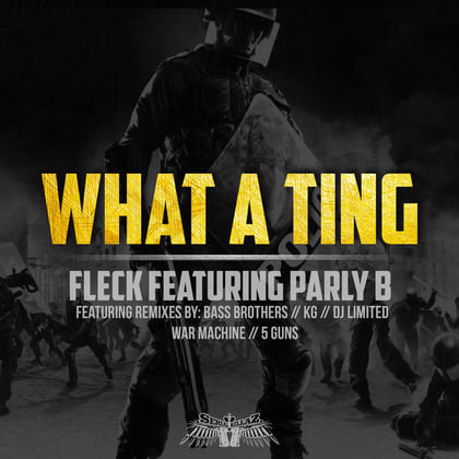 What a Ting album by Fleck - Drum and Bass Cover Art