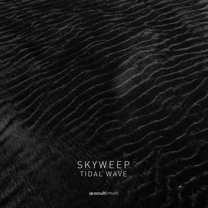 Tidal Wave / Wild World album by Skyweep - Drum and Bass Cover Art