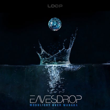 Moonlight over Wanaka album by Eavesdrop - Drum and Bass Cover Art
