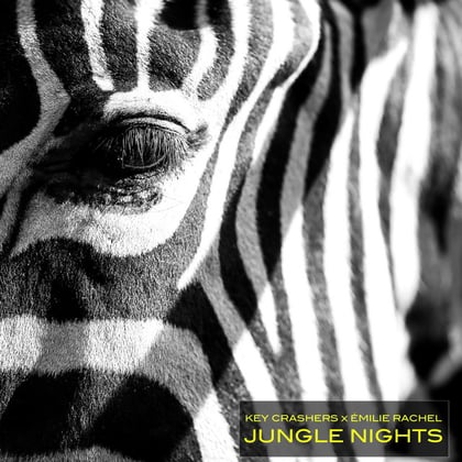 Jungle Nights album by Captain Bass, Key Crashers & Émilie Rachel - Drum and Bass Cover Art
