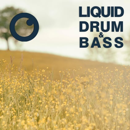 Liquid Drum & Bass Sessions 2021 Vol 47 : The Mix album by Dreazz - Drum and Bass Cover Art