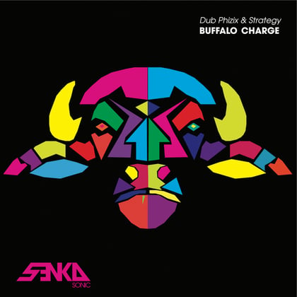 Buffalo Charge album by Dub Phizix - Drum and Bass Cover Art