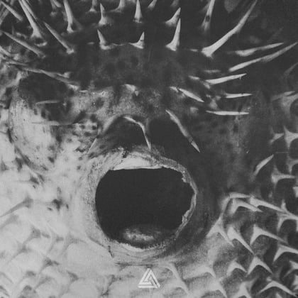 Blowfish album by Levela - Drum and Bass Cover Art