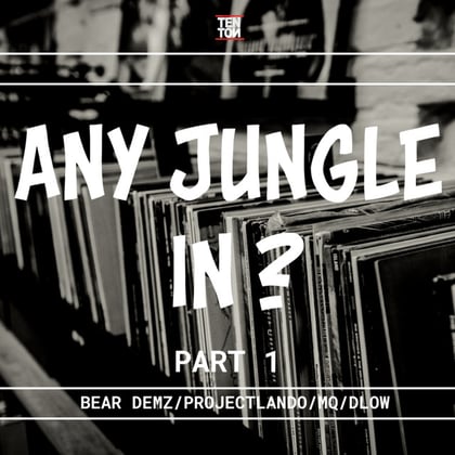 Any Jungle in? album by Project Lando - Drum and Bass Cover Art